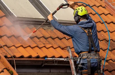 Démoussage et hydrofuge de toiture à Vaumas